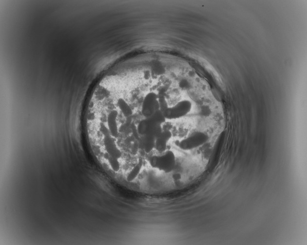 X0000086920487200705141725