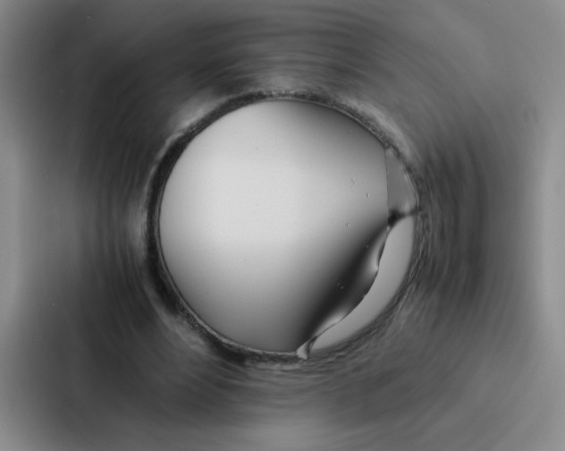 X0000086920488200705141725