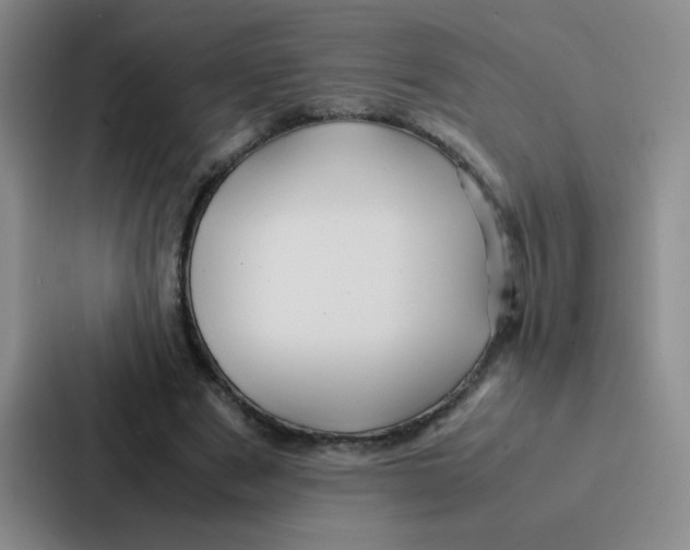 X0000086920489200705141725