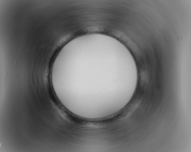 X0000086920490200705141725