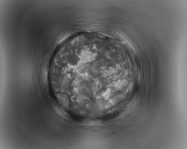 X0000086920491200705141725