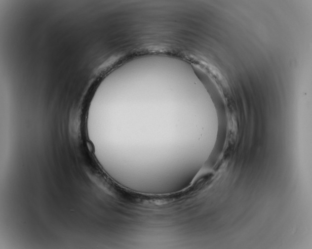 X0000086920492200705141725