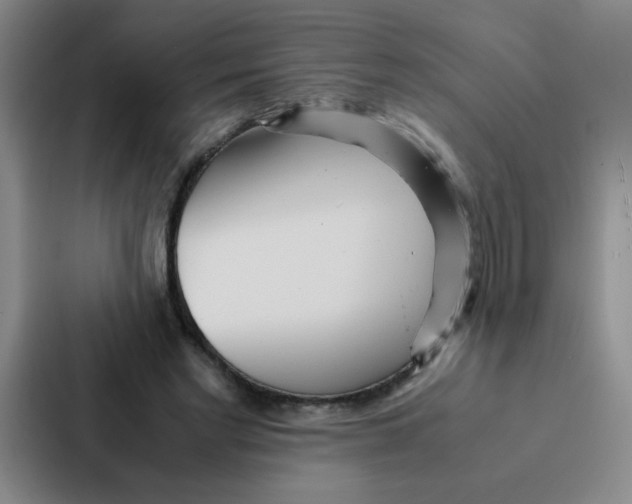 X0000086920493200705141725