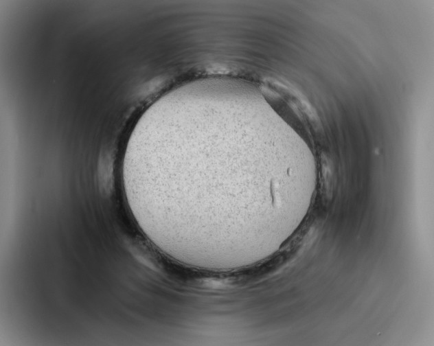 X0000086920496200705141725