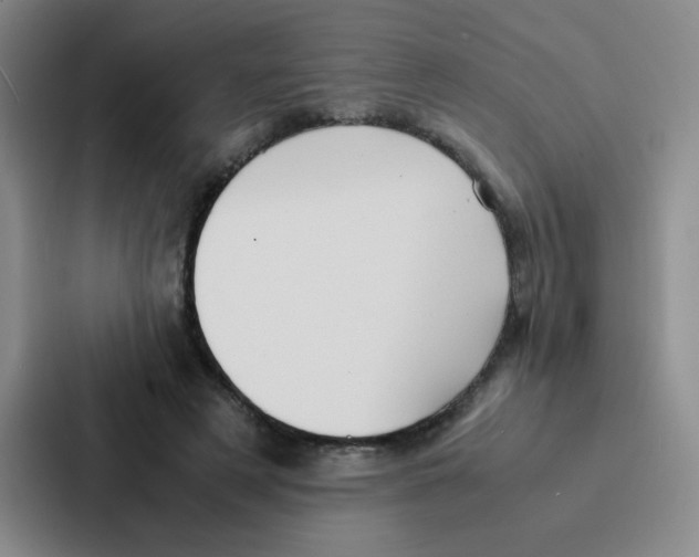 X0000086920497200705141725
