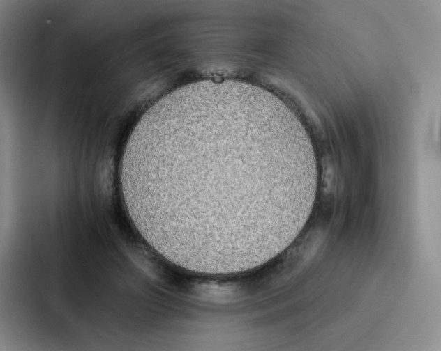 X0000086920498200705141725