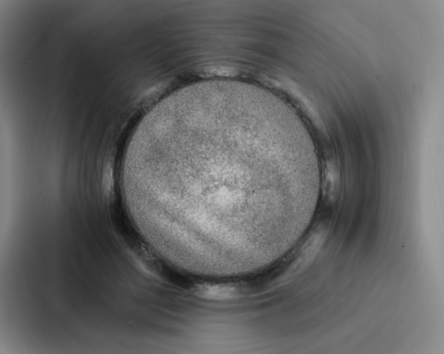 X0000086920500200705141725