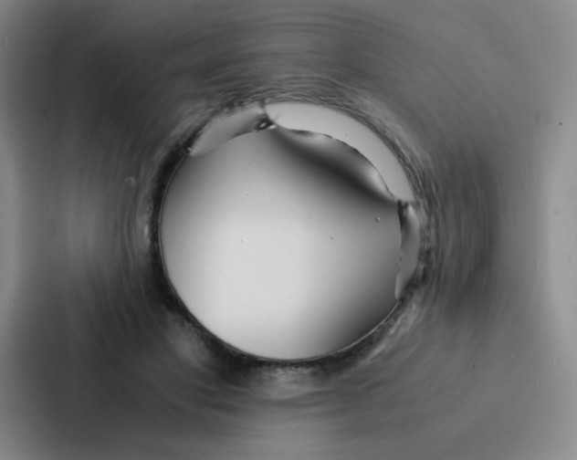 X0000086920501200705141725
