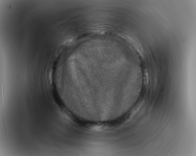 X0000086920504200705141725