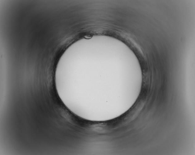 X0000086920505200705141725