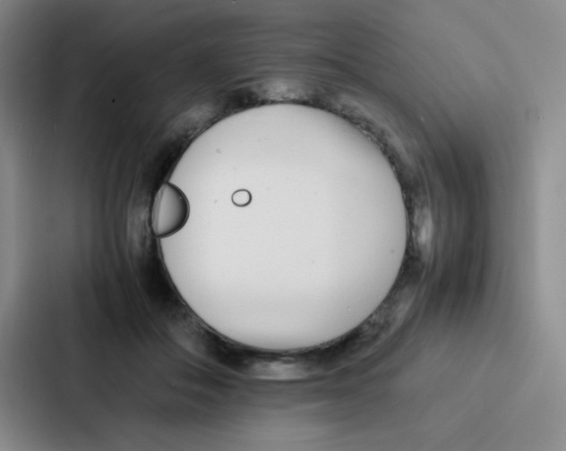 X0000086920506200705141725