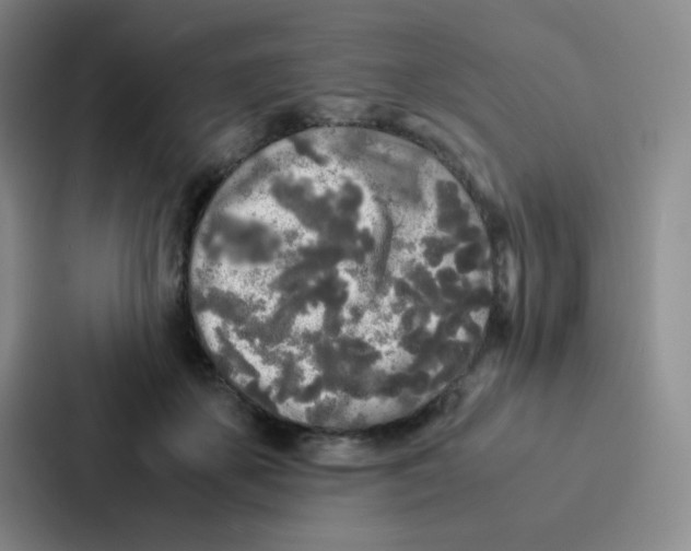 X0000086920507200705141725