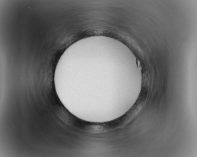 X0000086920509200705141725