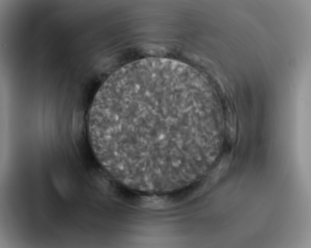 X0000086920511200705141725
