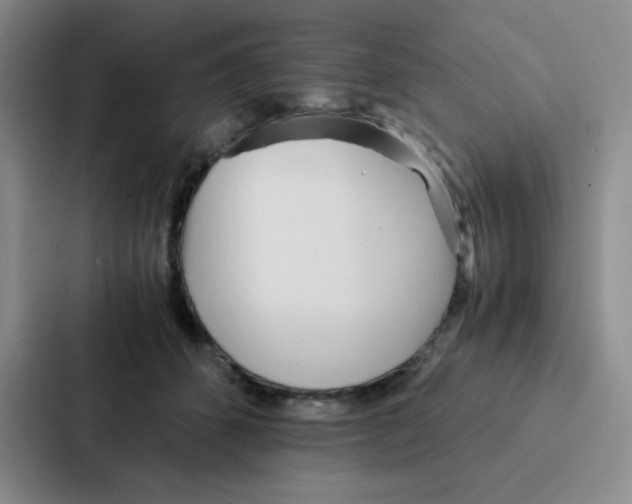 X0000086920512200705141725