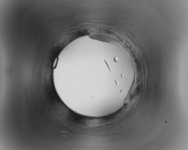 X0000086920513200705141725