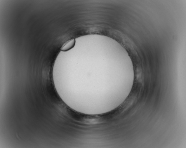 X0000086920514200705141725