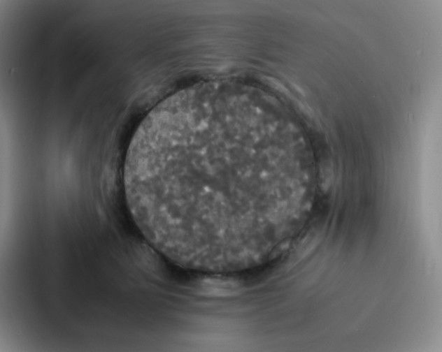 X0000086920515200705141725