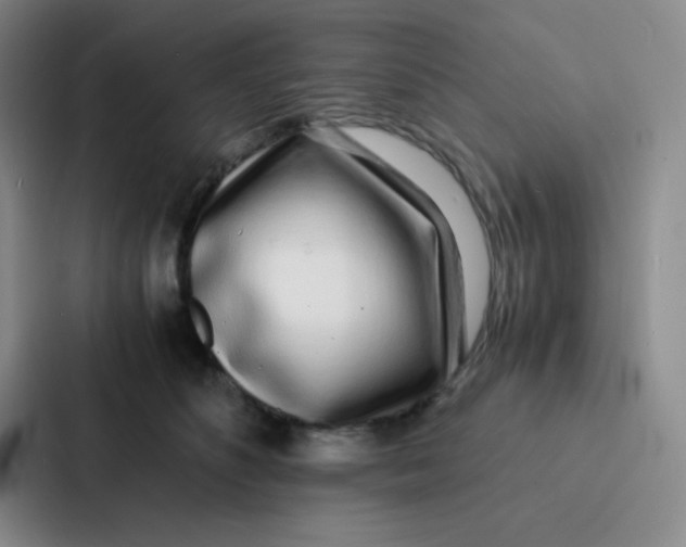X0000086920516200705141725