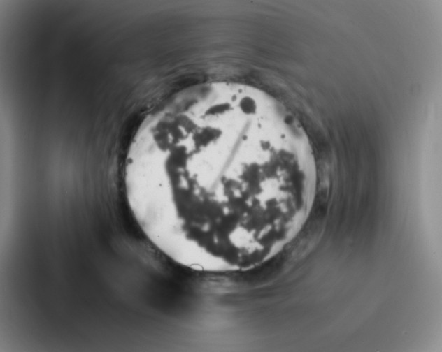 X0000086920519200705141725