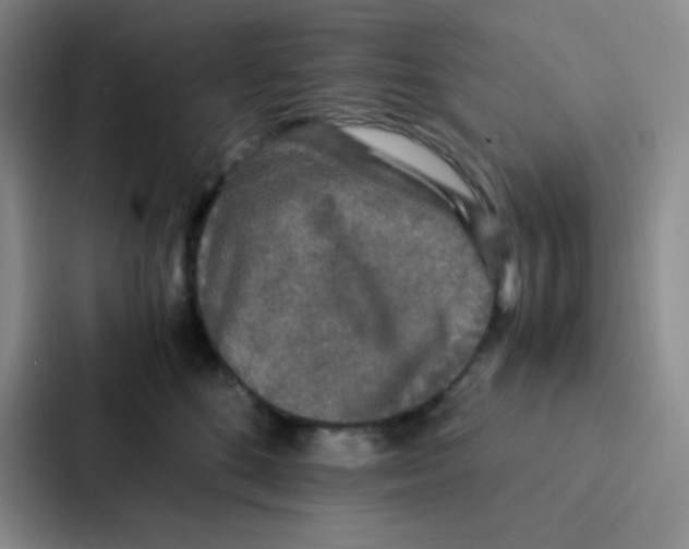 X0000086920520200705141725