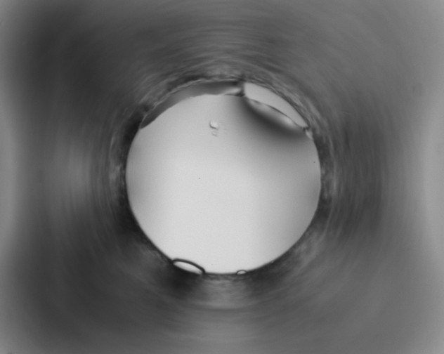 X0000086920521200705141725