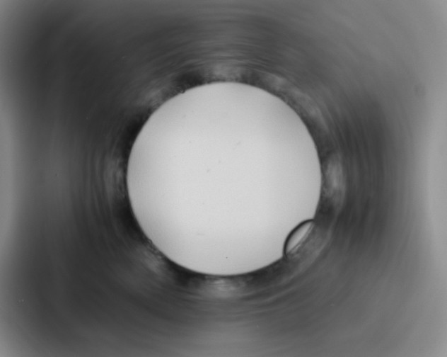 X0000086920522200705141725