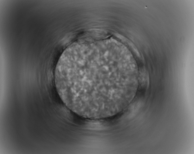 X0000086920523200705141725