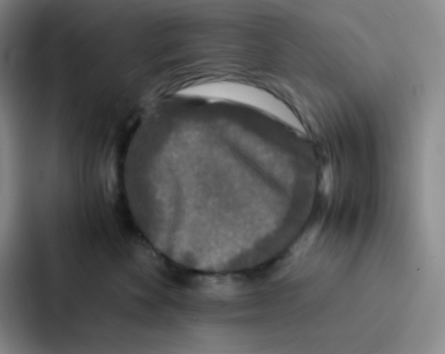 X0000086920524200705141725