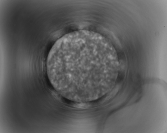 X0000086920527200705141725