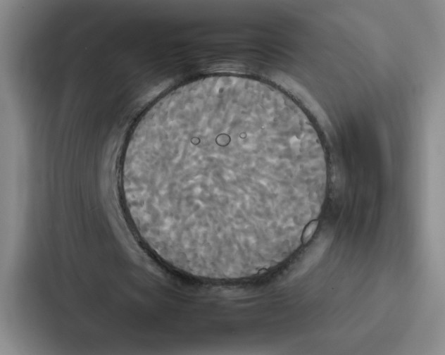 X0000086920529200705141724