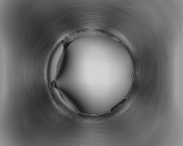 X0000086920530200705141724