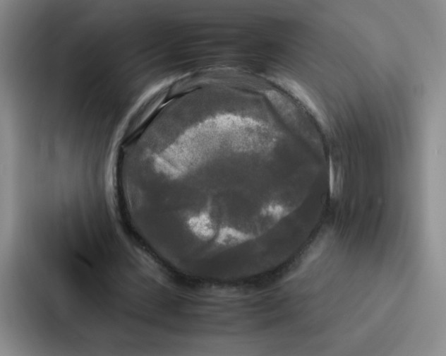 X0000086920531200705141724