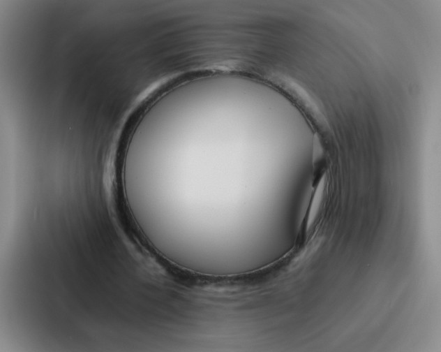 X0000086920532200705141724