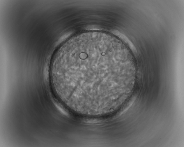 X0000086920533200705141724