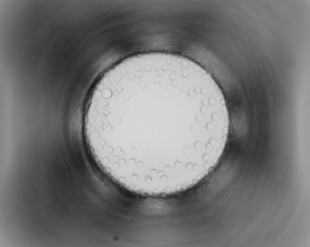 X0000086920534200705141724
