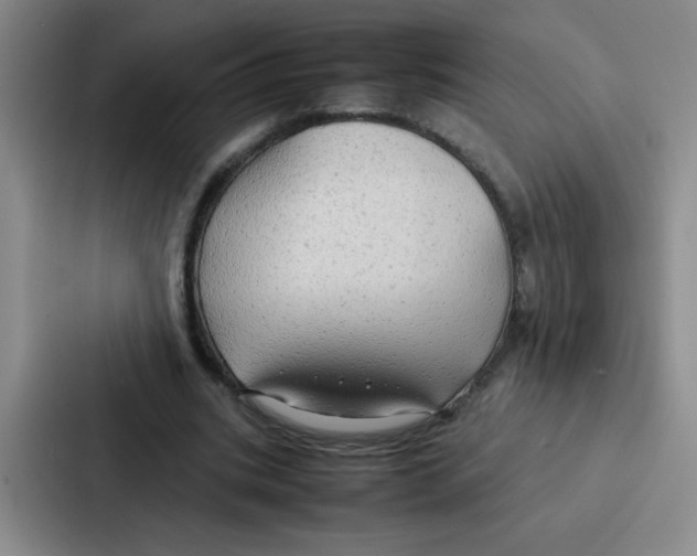 X0000086920535200705141724