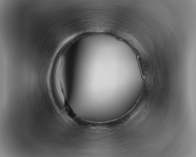 X0000086920536200705141724