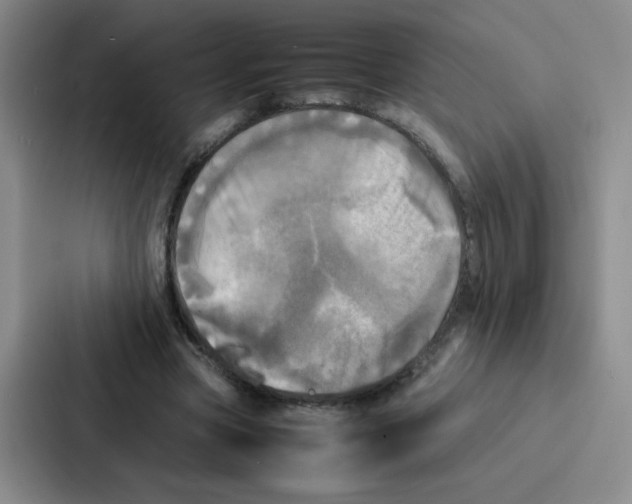 X0000086920537200705141724