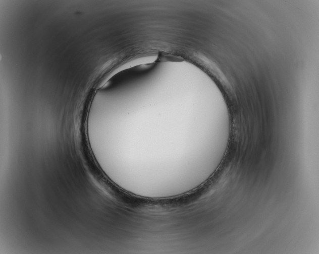 X0000086920538200705141724