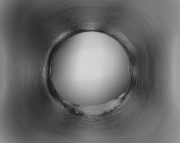 X0000086920540200705141724