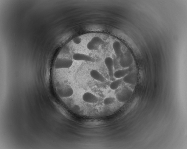 X0000086920541200705141724