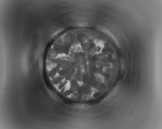 X0000086920542200705141724