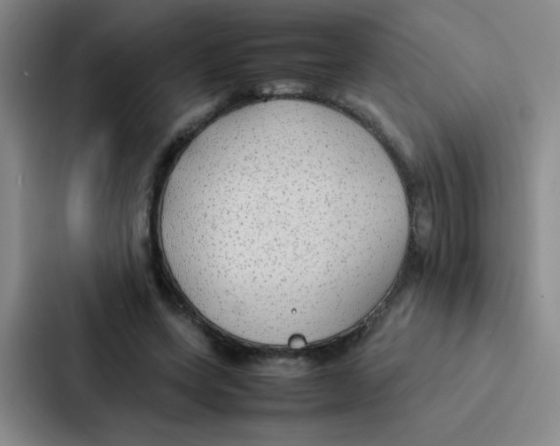 X0000086920543200705141724