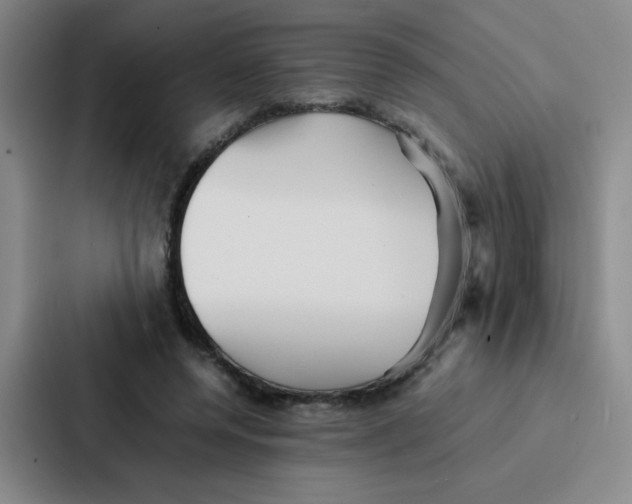 X0000086920544200705141724