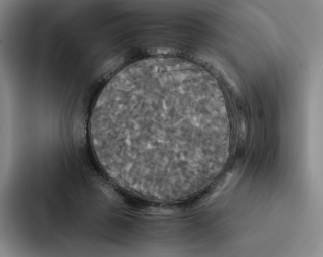X0000086920545200705141724