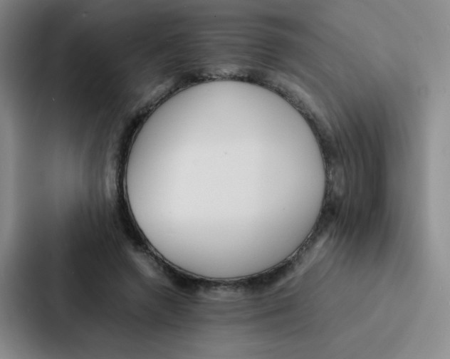 X0000086920546200705141724