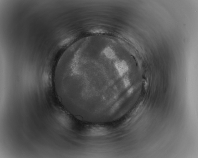 X0000086920547200705141724