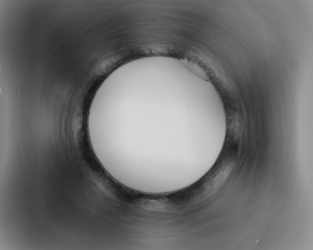 X0000086920548200705141724