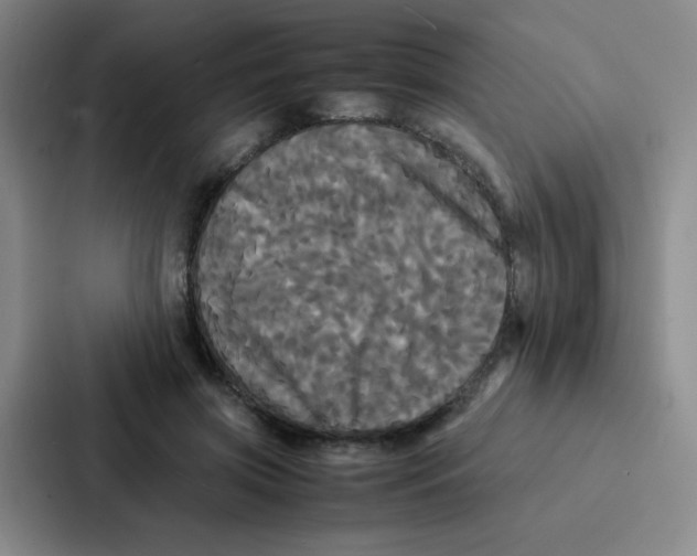 X0000086920549200705141724